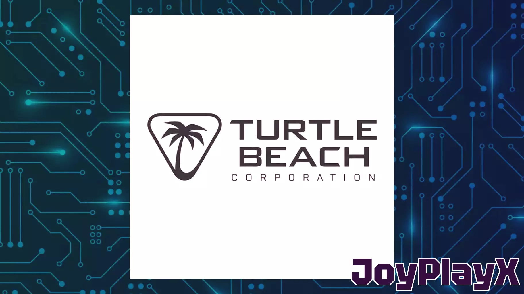 Notable Video Game Stocks to Keep an Eye On